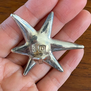 Abstract Star Clip-on Earrings